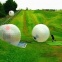 Zorrrrrbing...