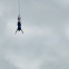 bungee jump