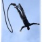 Bungee jumping