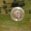 Zorbing